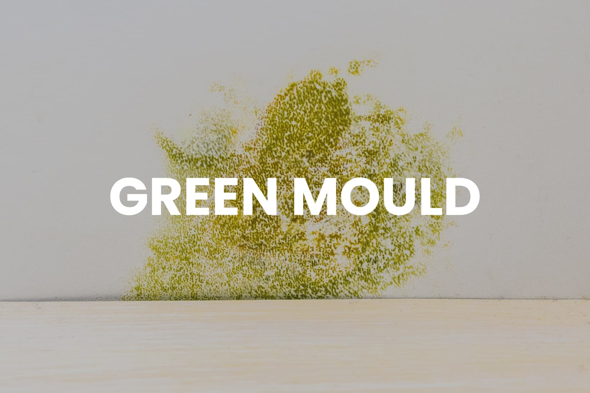 Green mould - example image