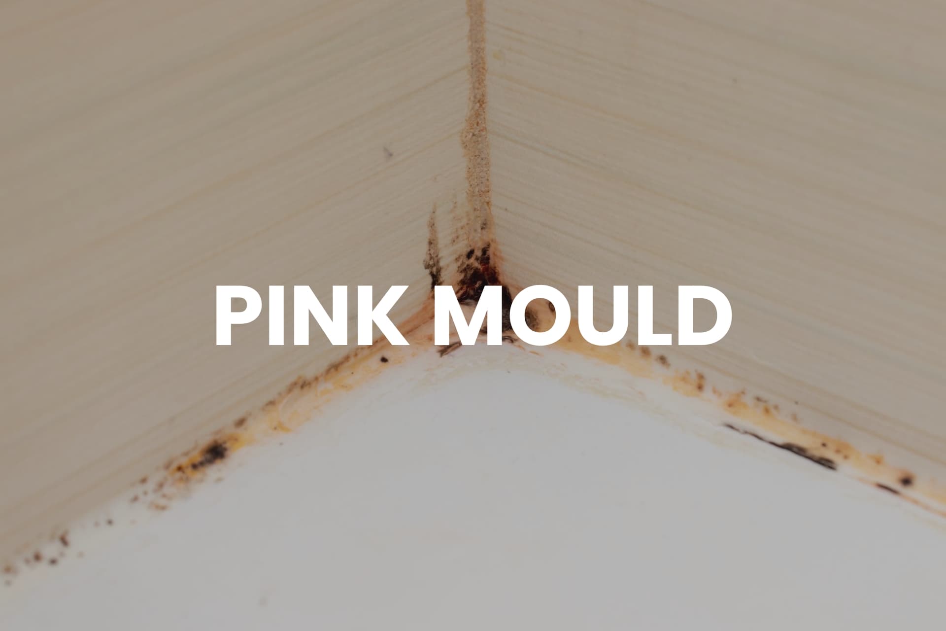 Pink mould - example image